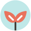 Sustainability Communication Plan